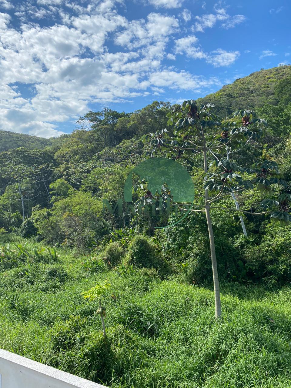 8ea76a97-2157-4144-831c-9b783b25771e