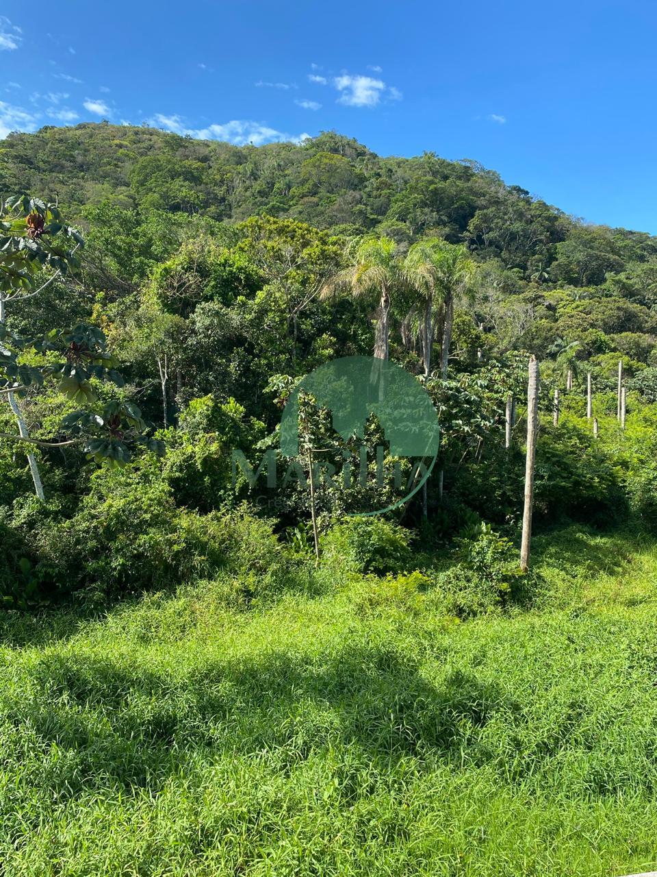 ee942301-7954-4067-821b-10493def123a