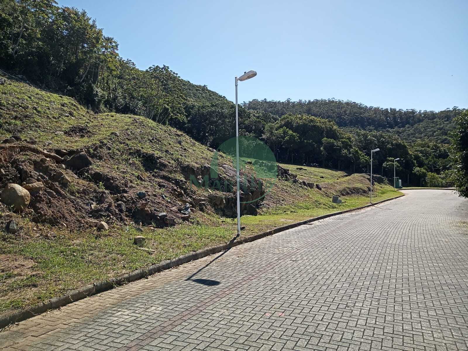 02538129-e362-4978-9835-e5185593baa2