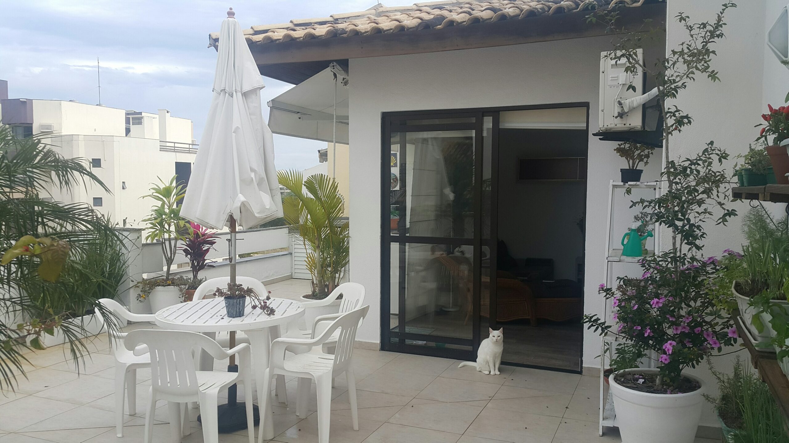 20161109_165241_resized_1