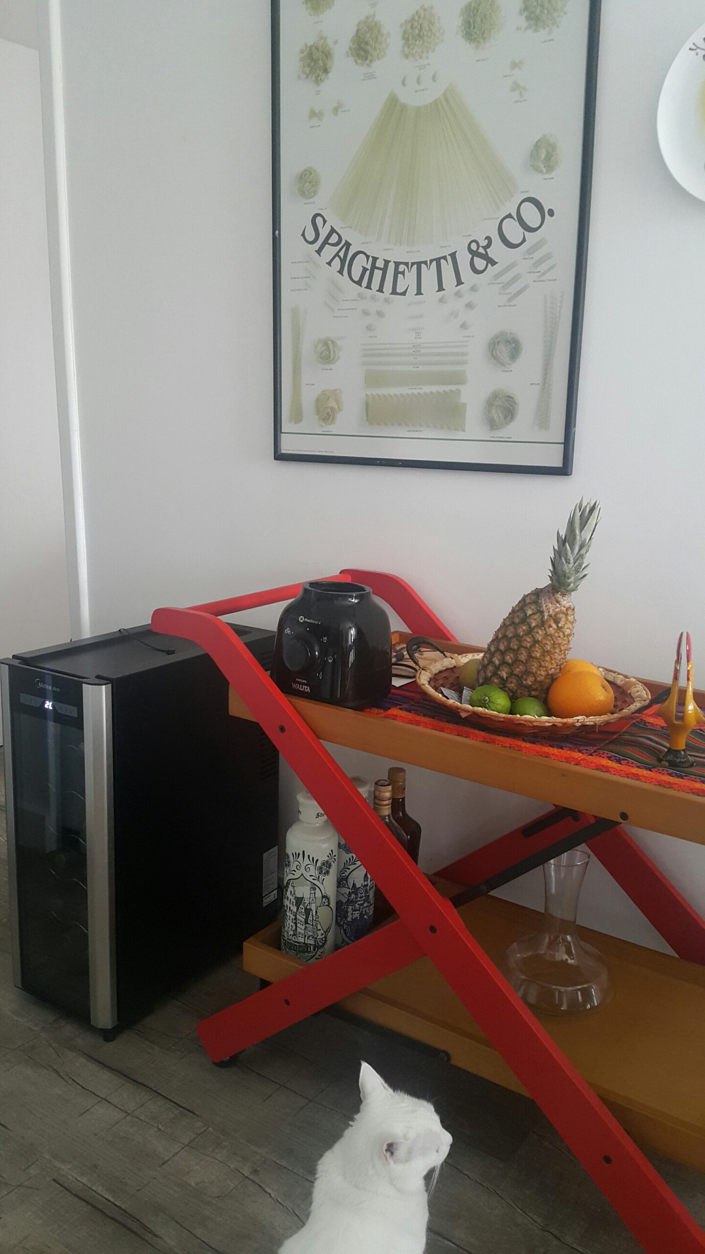 20161109_170027_resized