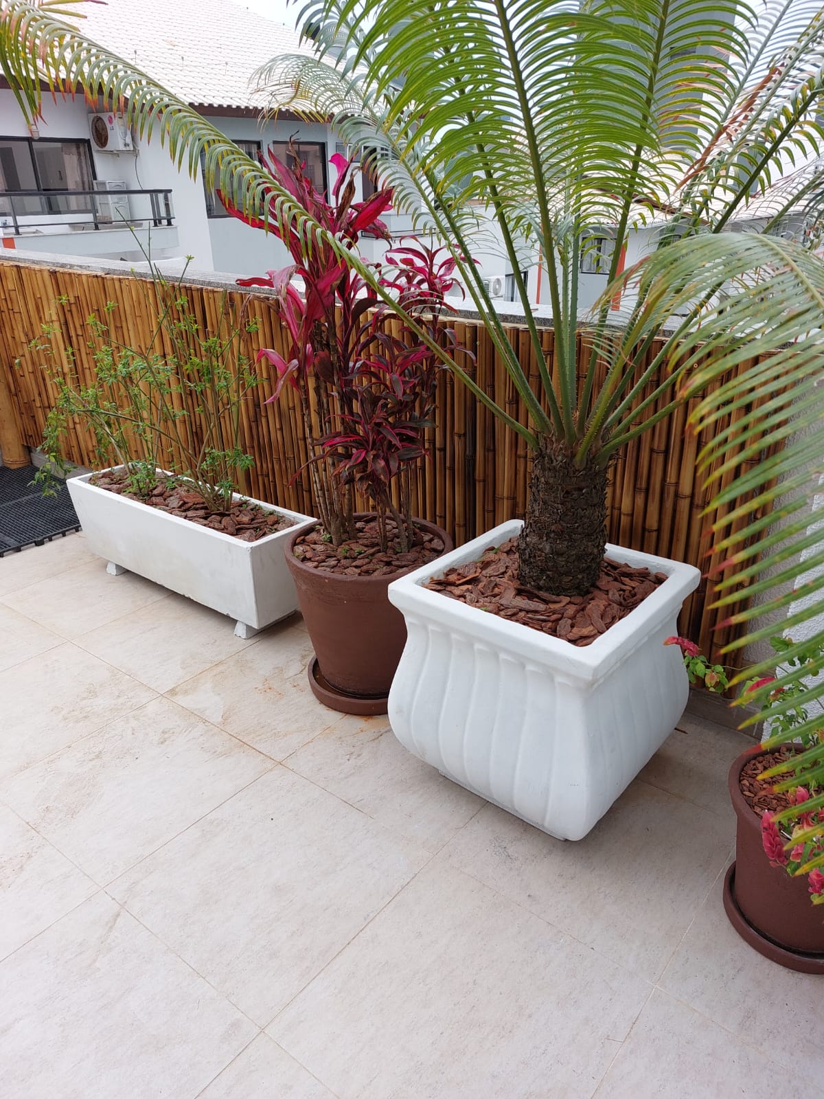 WhatsApp Image 2024-08-15 at 15.56.54 (1)