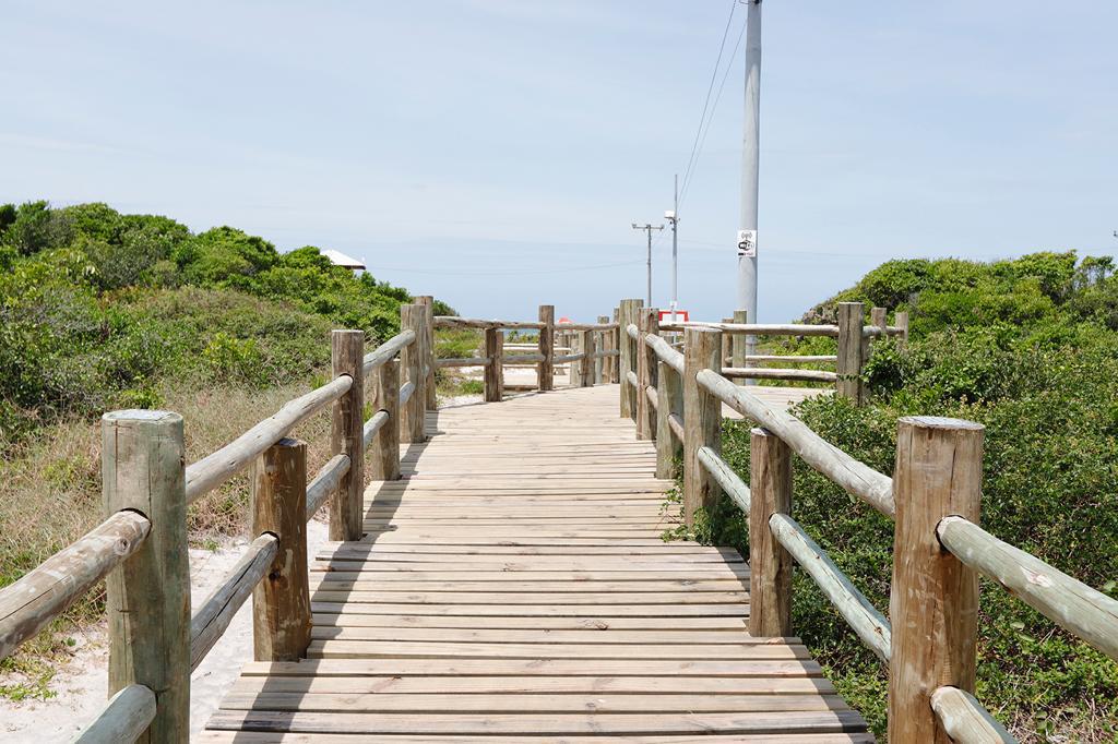 WhatsApp Image 2024-08-19 at 19.20.33 (1)